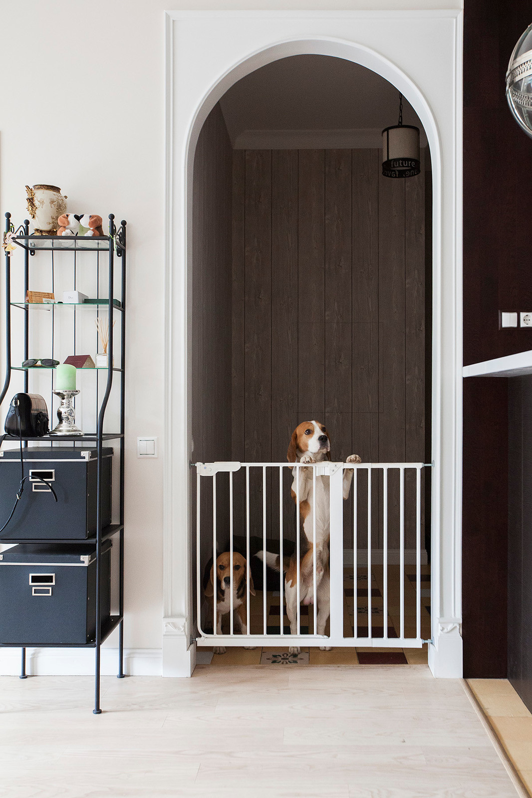 Квартира в посёлке Ильинское для Houzz