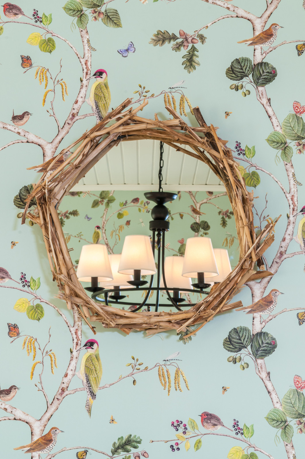 Проект для ТВ-Программы "Фазенда"