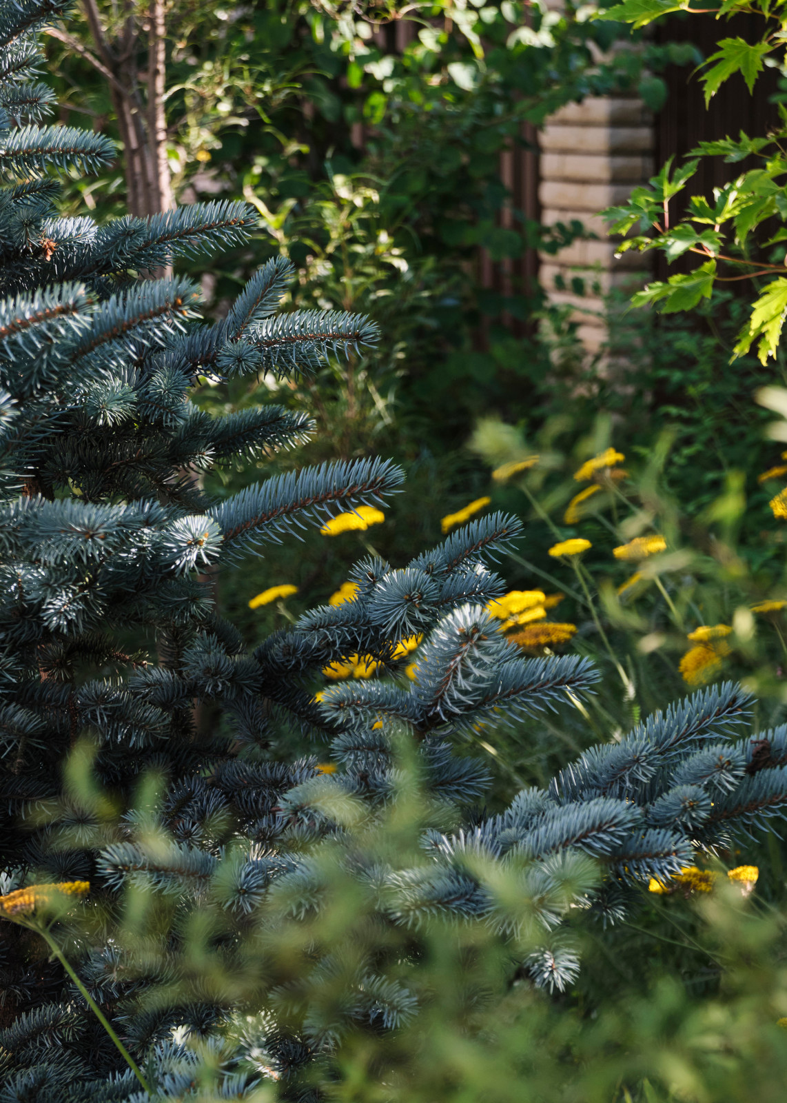 "Сад коллекционера" в Раменском районе Подмосковья
