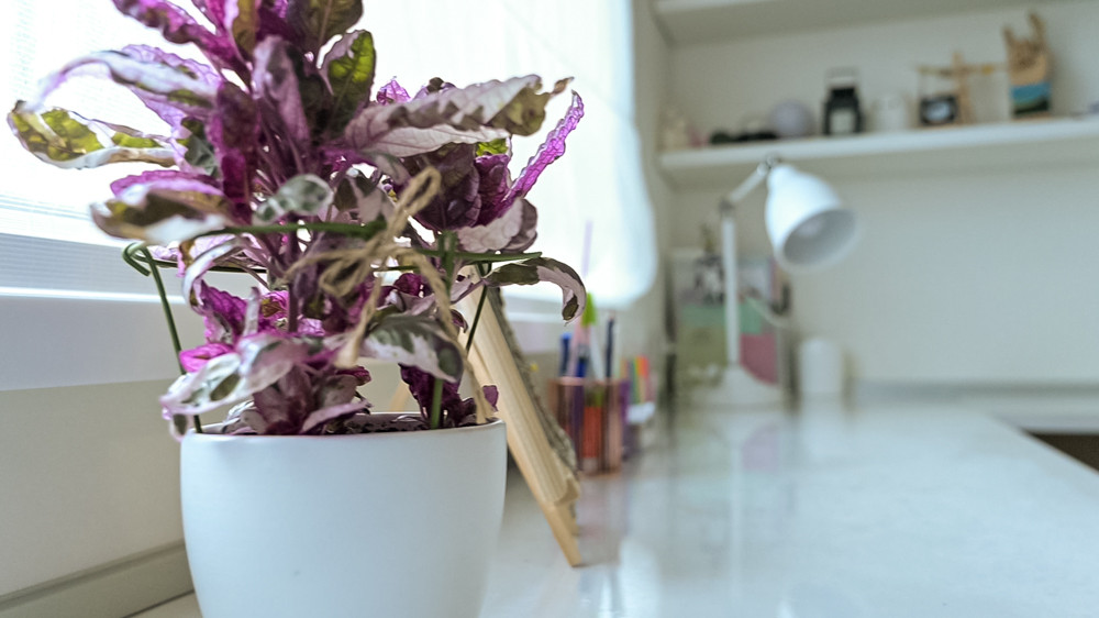 ЖК Рассказово