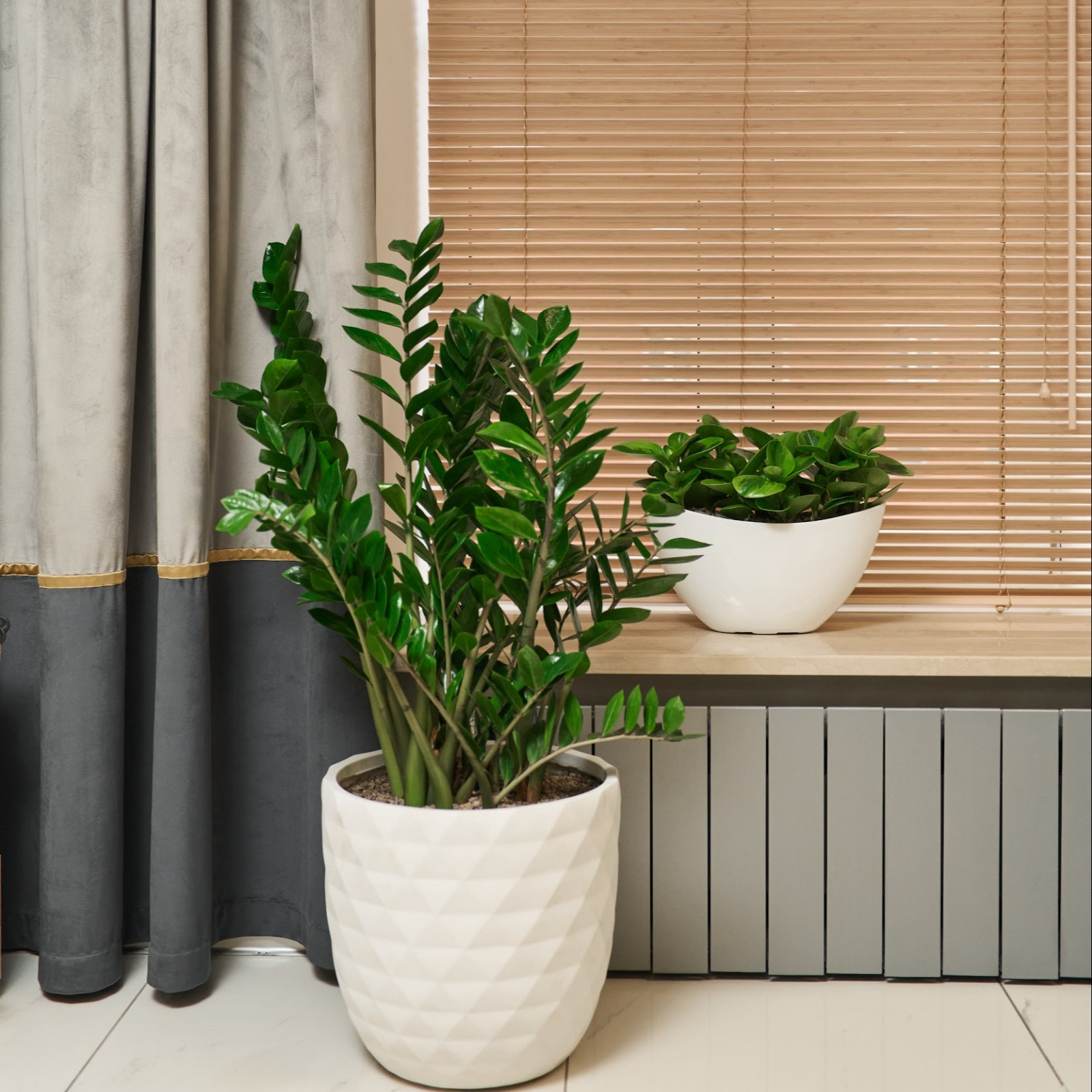 Озеленение офиса Endo Stars