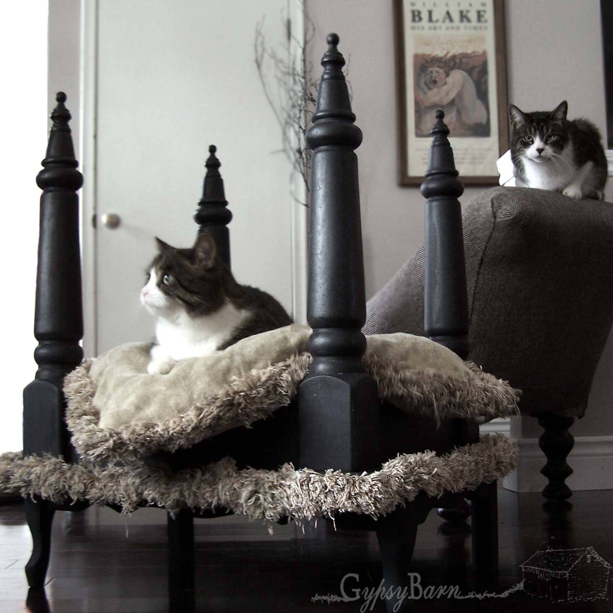 Лежанка для собаки своими руками: мастер-класс