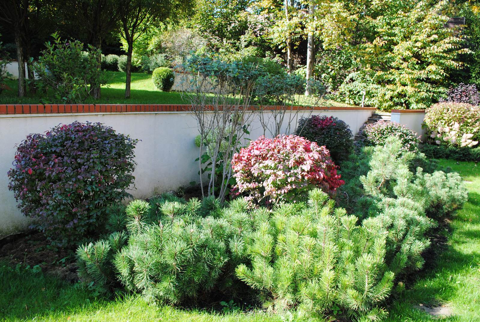 Осенний лес.Дмитровское шоссе