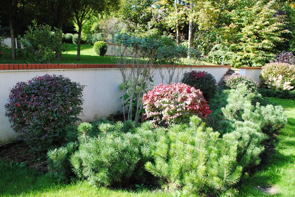 Осенний лес.Дмитровское шоссе