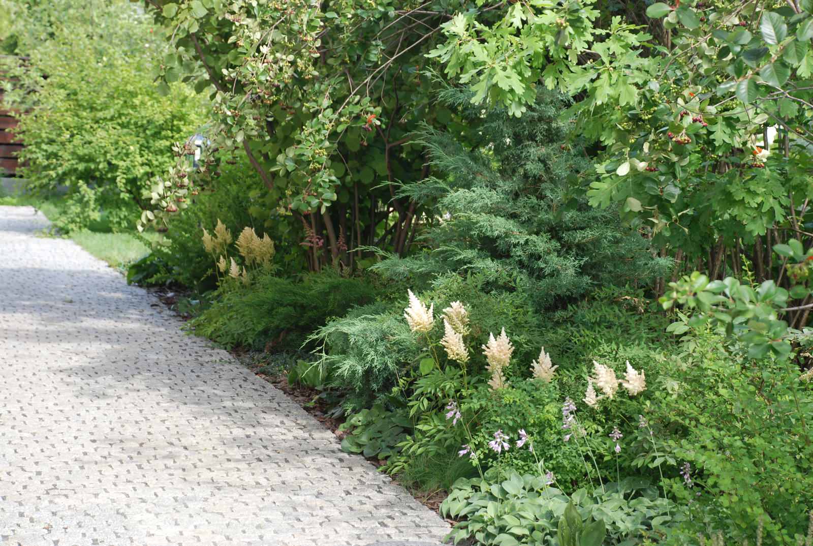 Современный сад в КП "Променад"