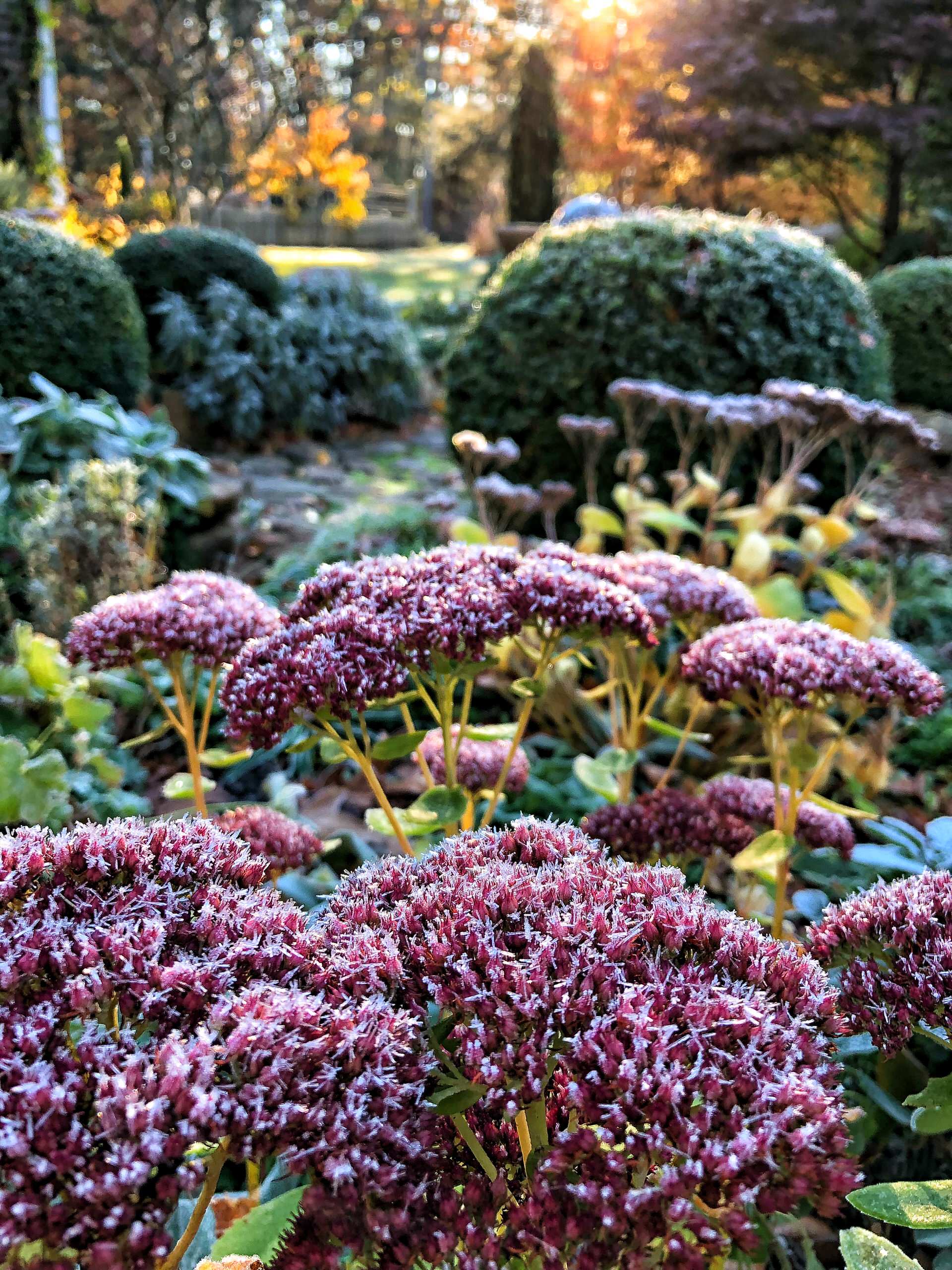 Houzz США: Сад, который который создавали 20 лет