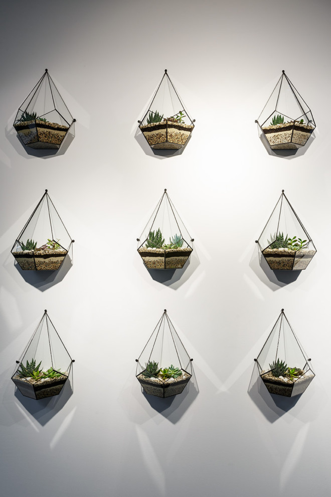 Озеленение офиса инженерной компании