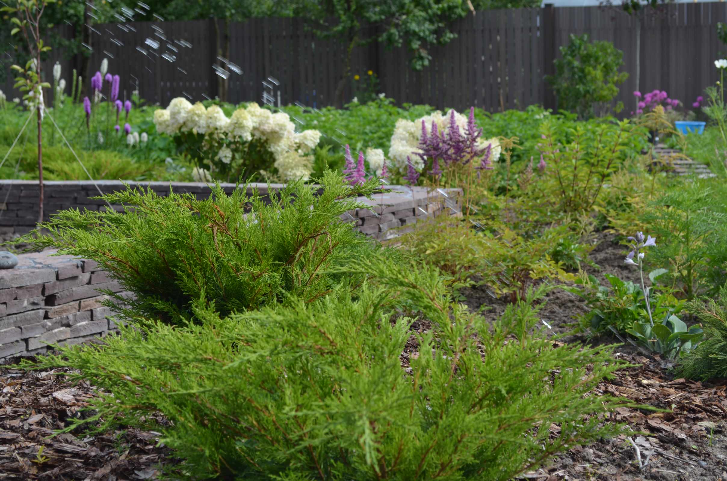 Воплощение проекта.Новосаратовка.