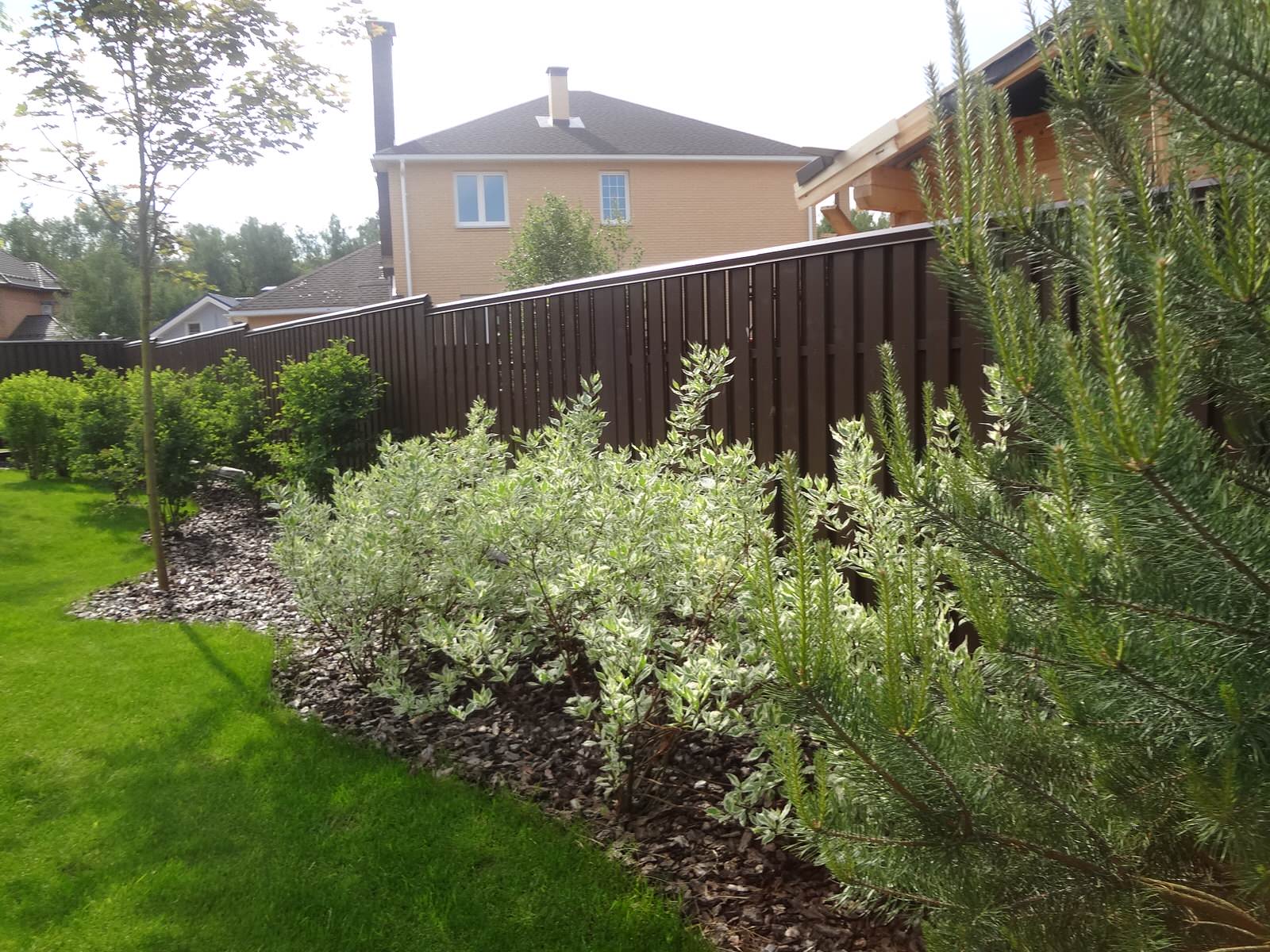 Сосновый бор