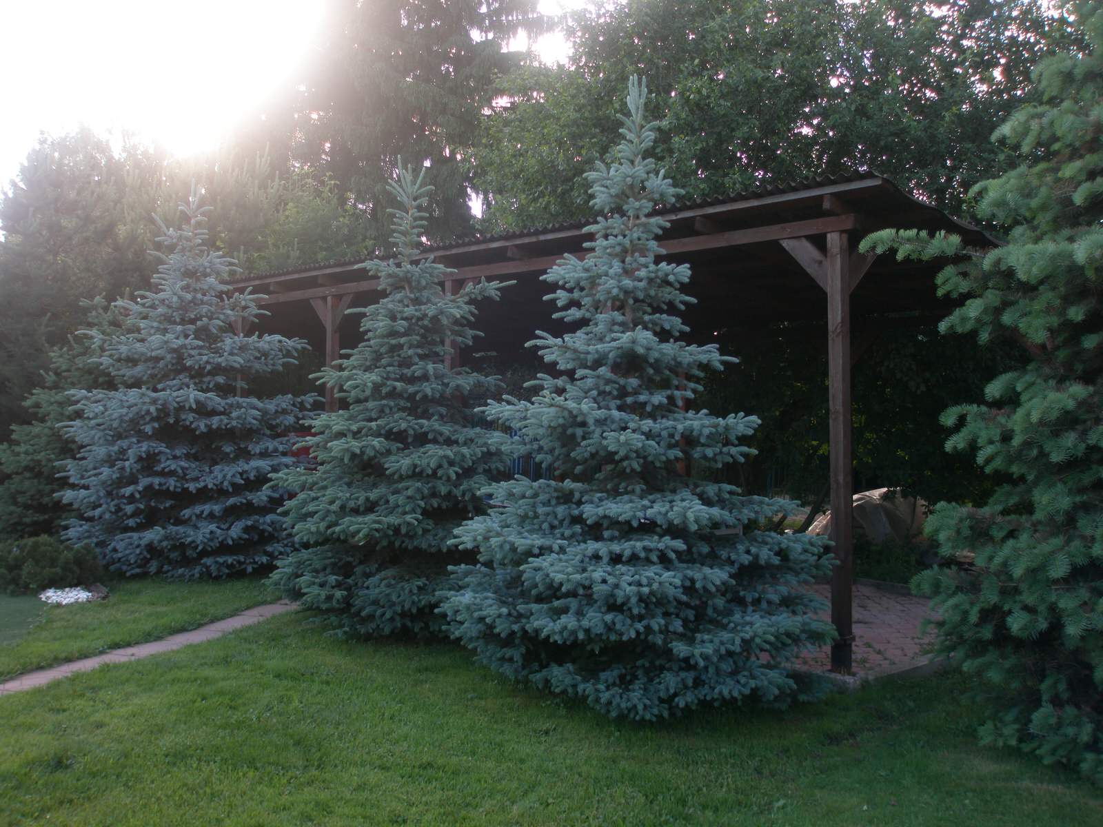 Наши работы