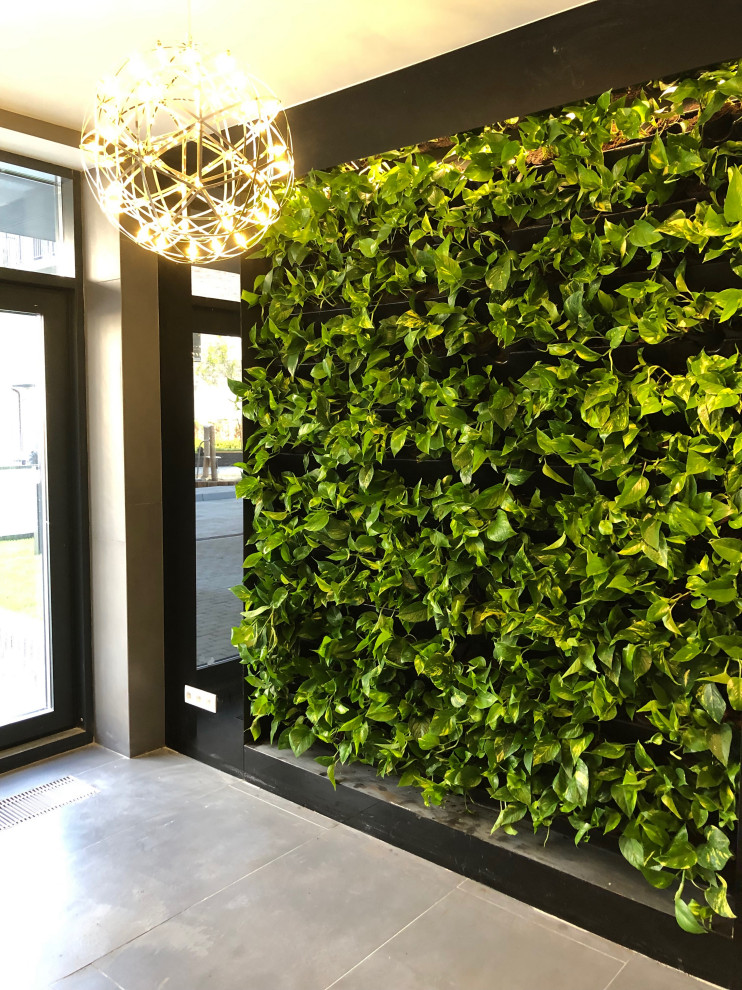 Зеленые стены