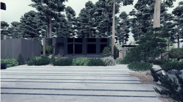 Ландшафт. Лесная погулка