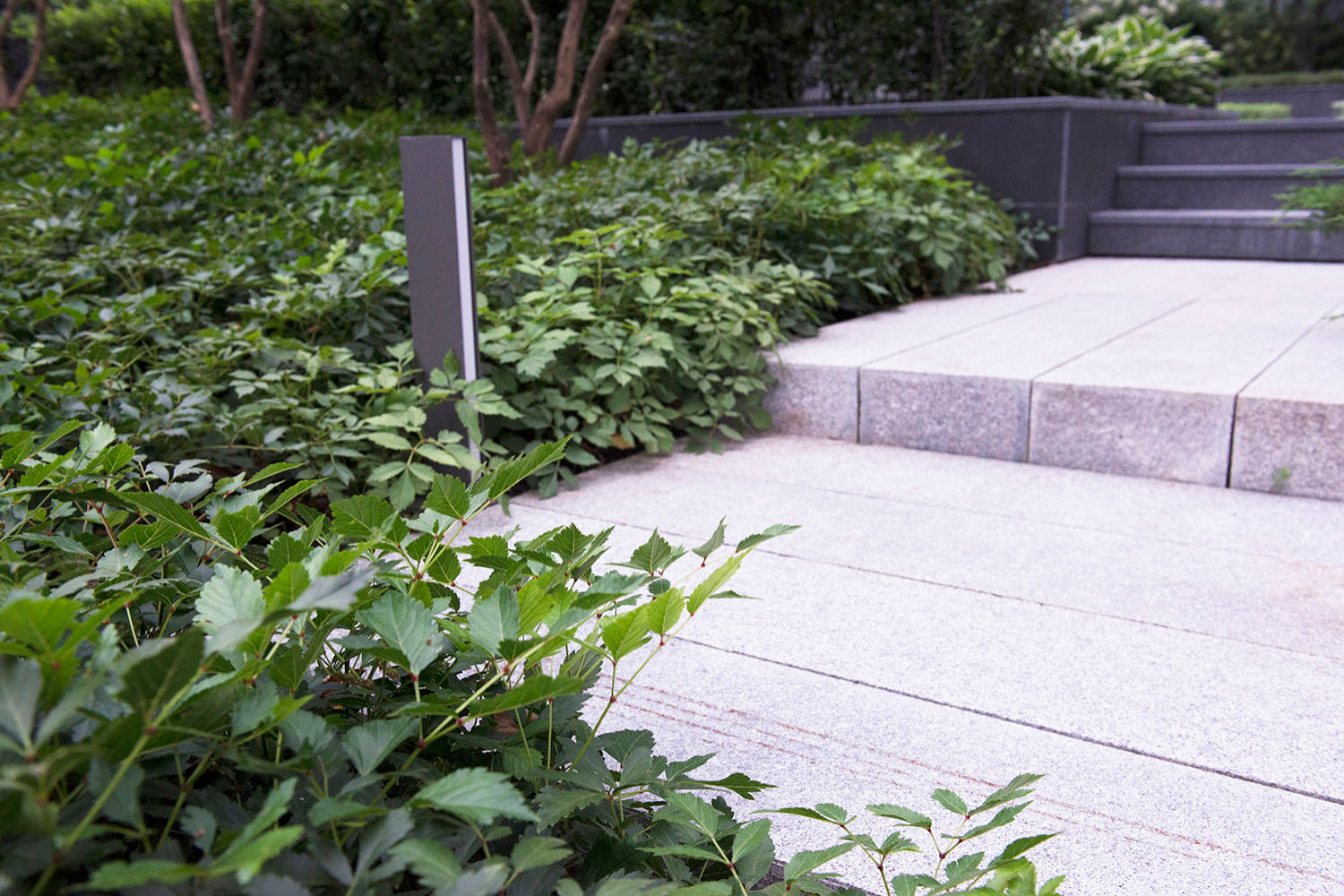 Сад пять уровней комфорта