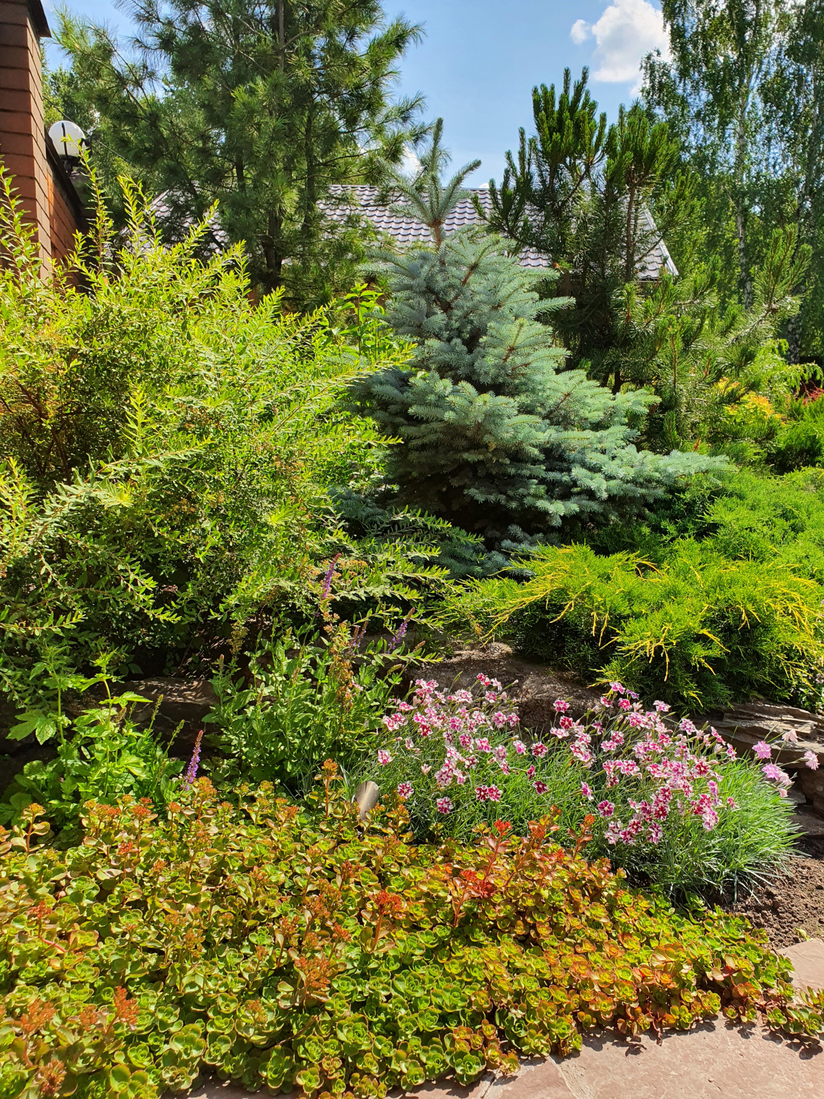 Сад для молодой семьи