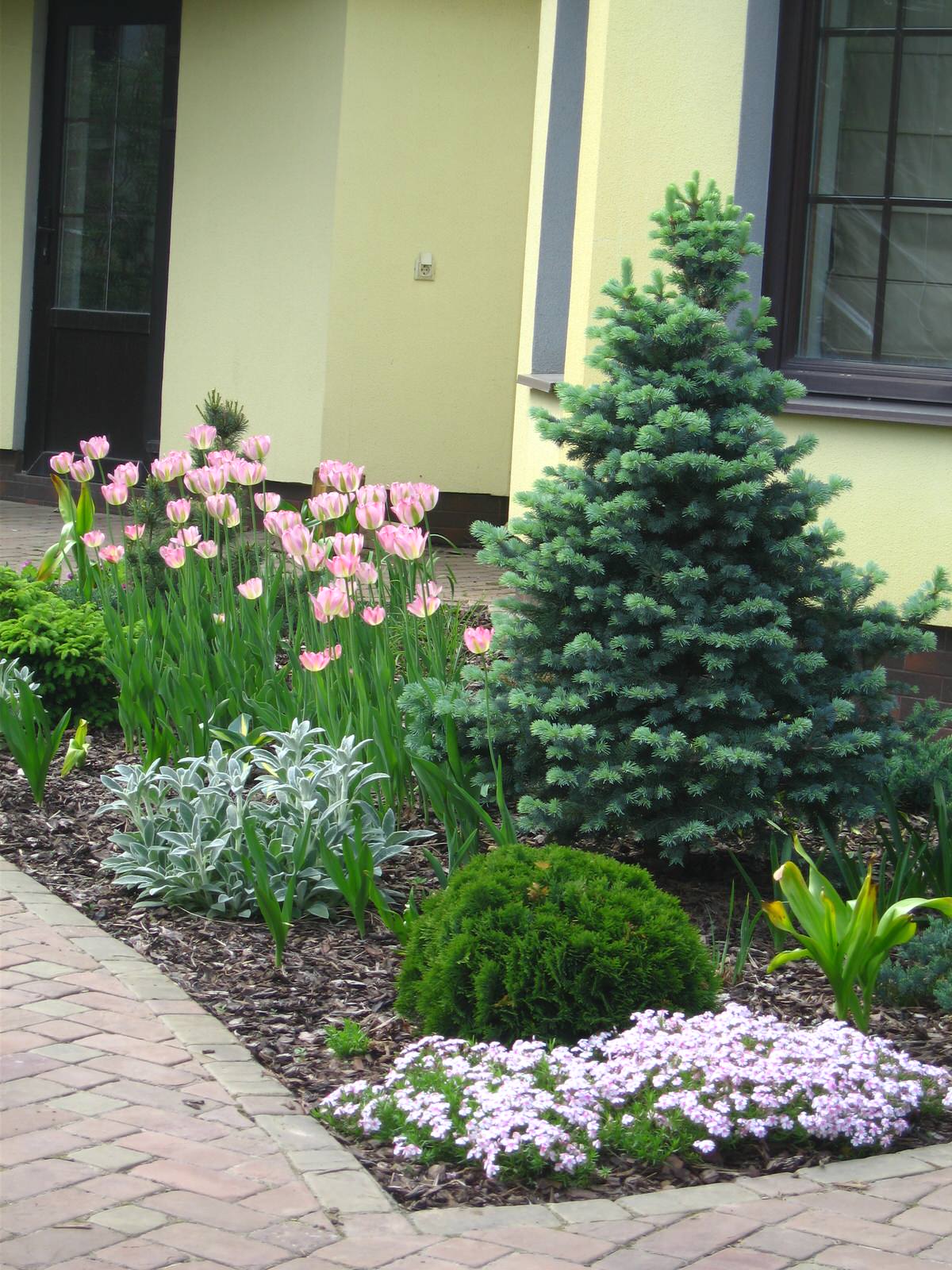 Молодой весны гонцы