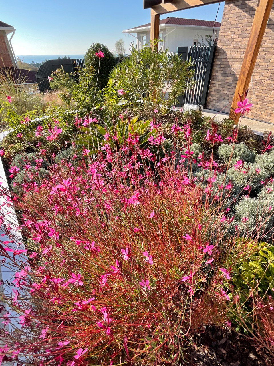 В лучах южного солнца.