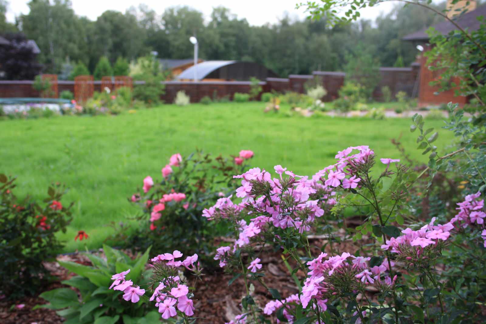 Истринские дачи