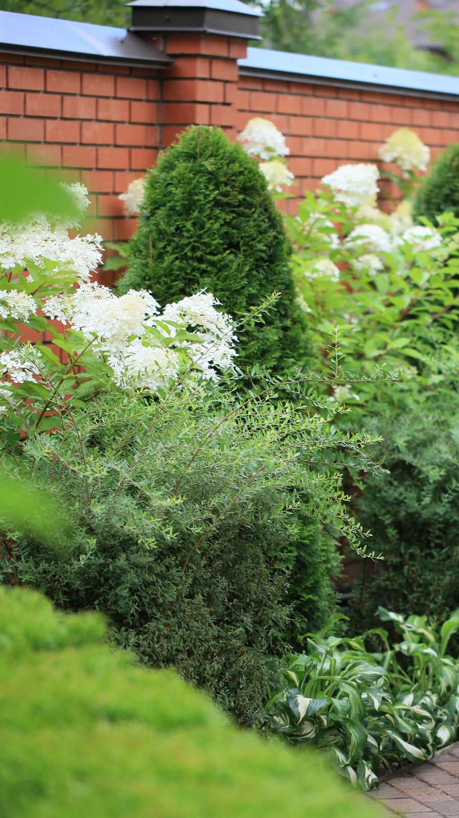 Обложка альбома: Спиреи