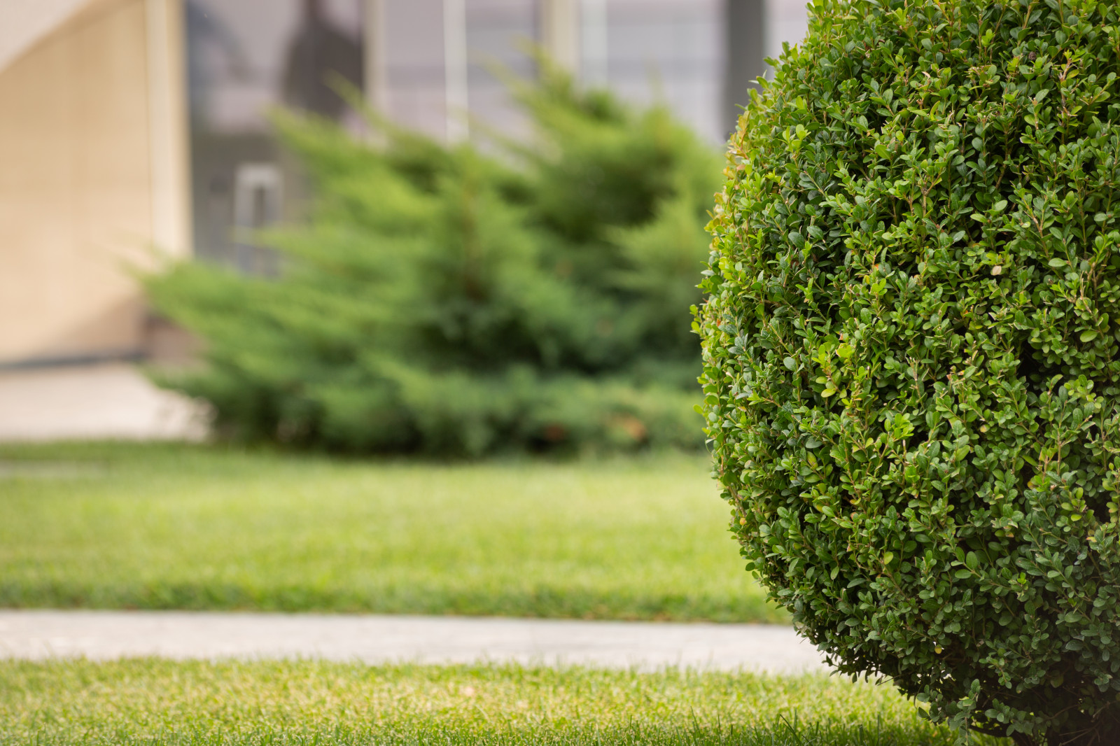 Лазурный Берег Сочи