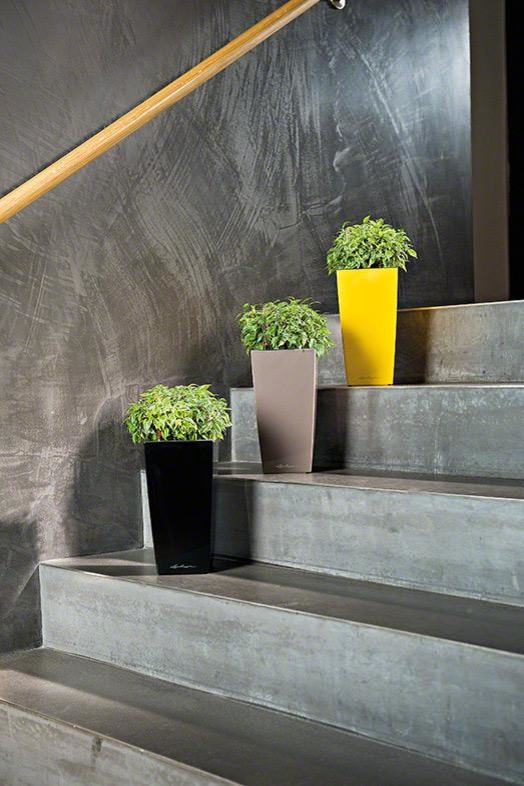 Раскройте свои планы