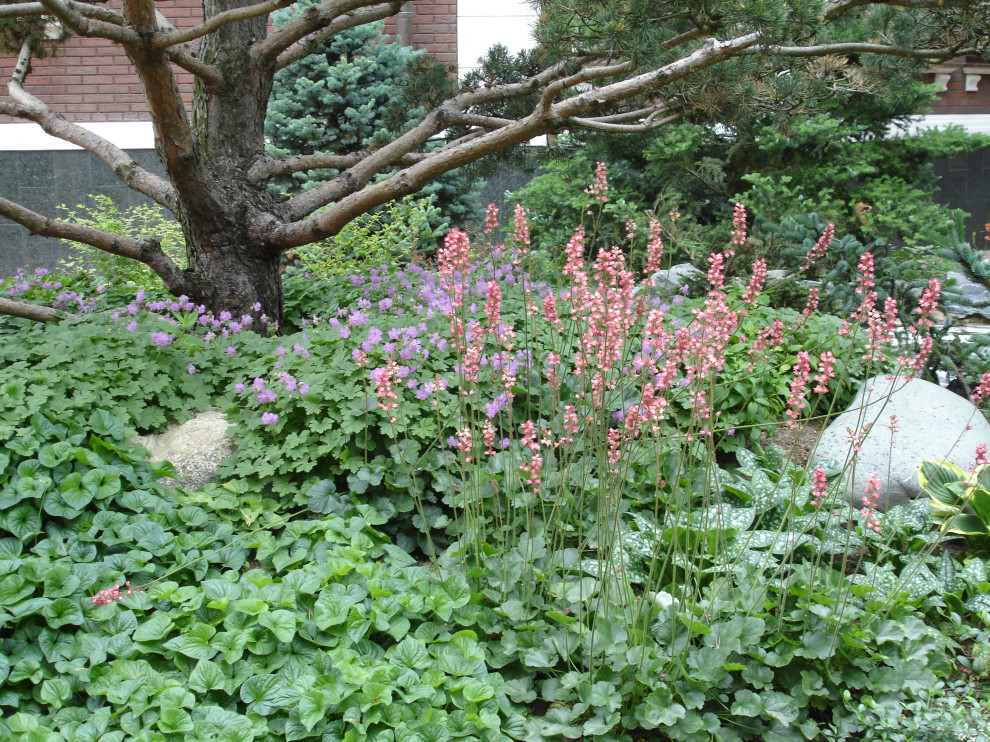 Сад с водопадом. Калчуга 2006 г