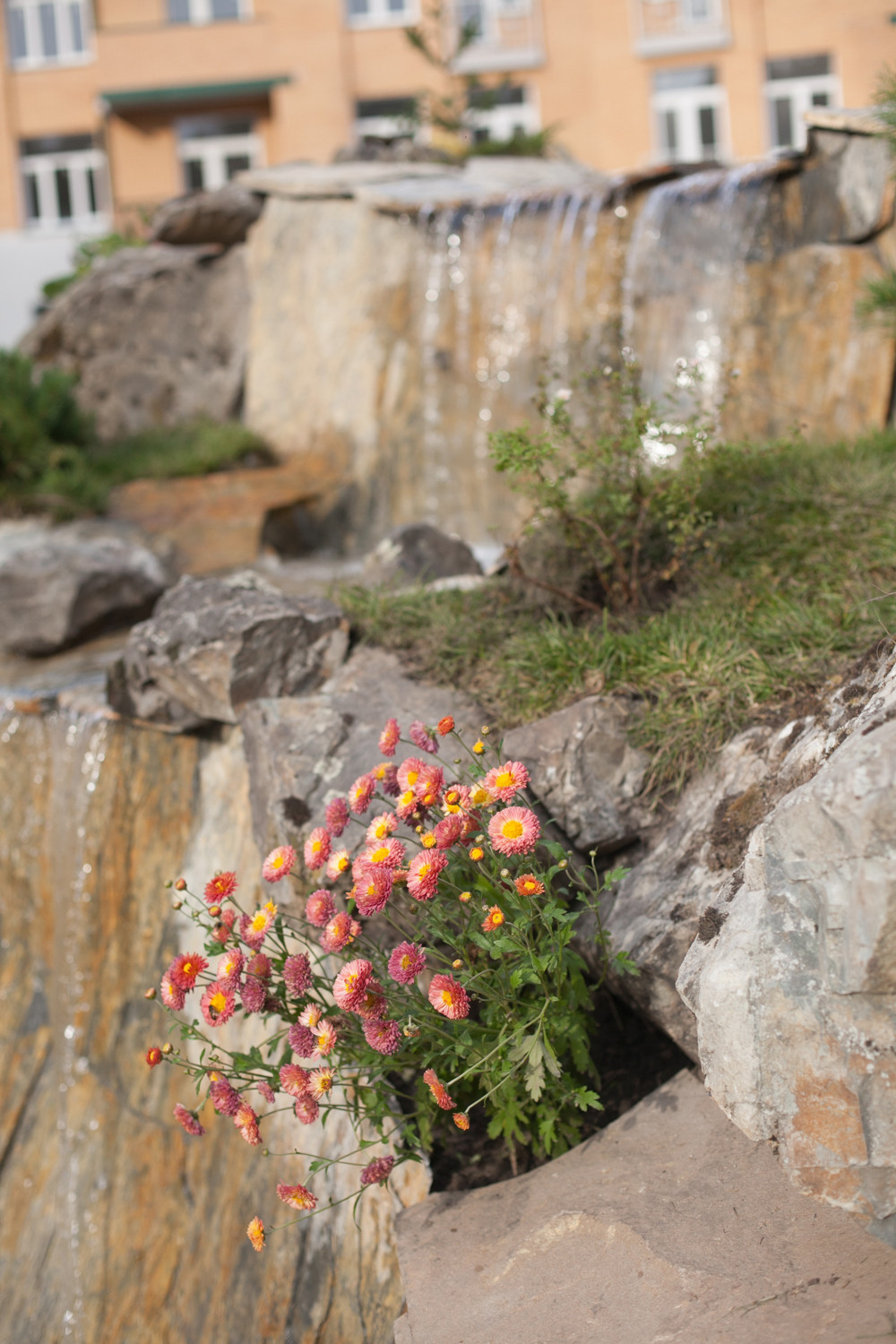 Обложка проекта: ЖК "Петровский"