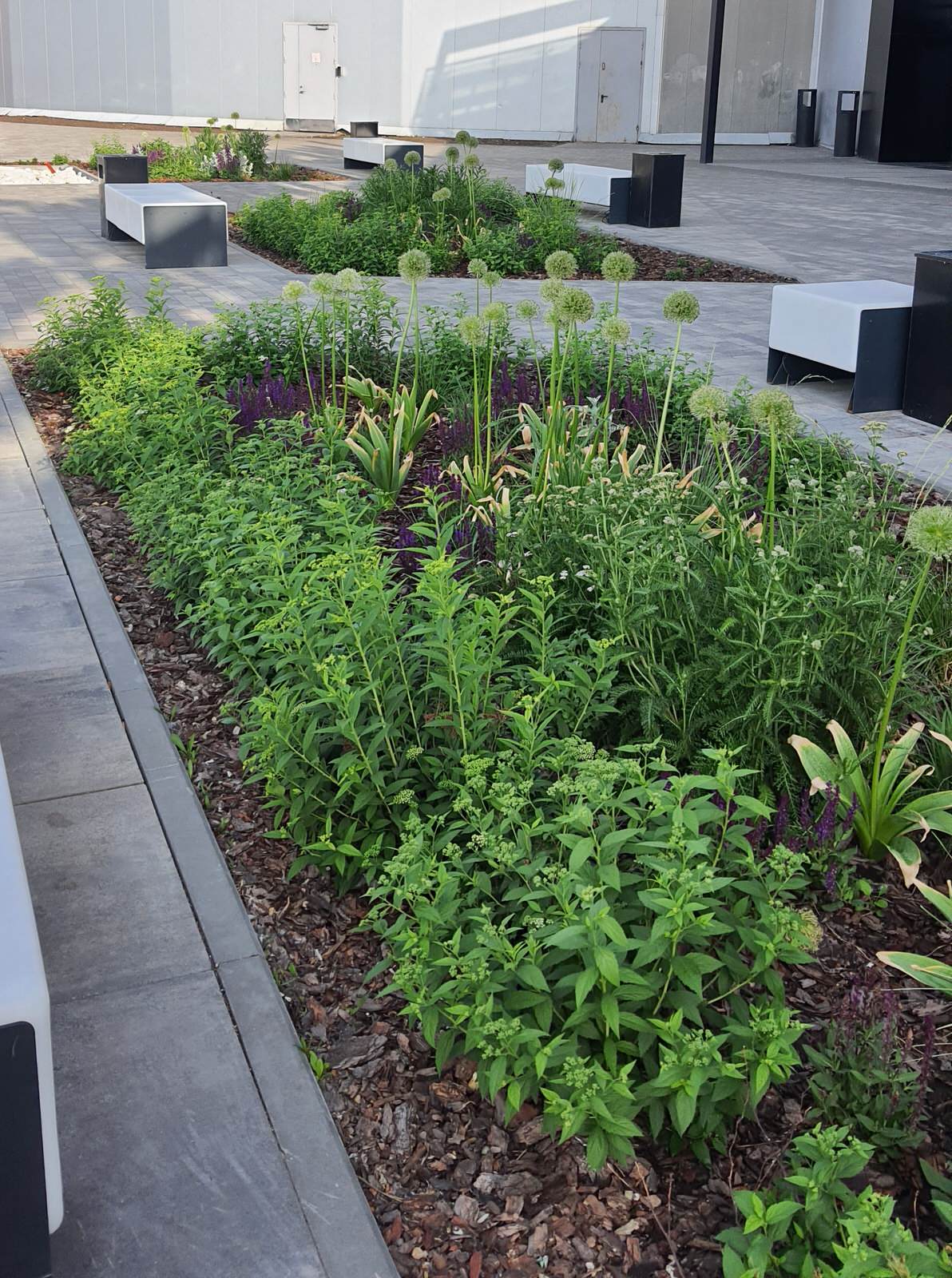 Благоустройство ландшафта торгового центра