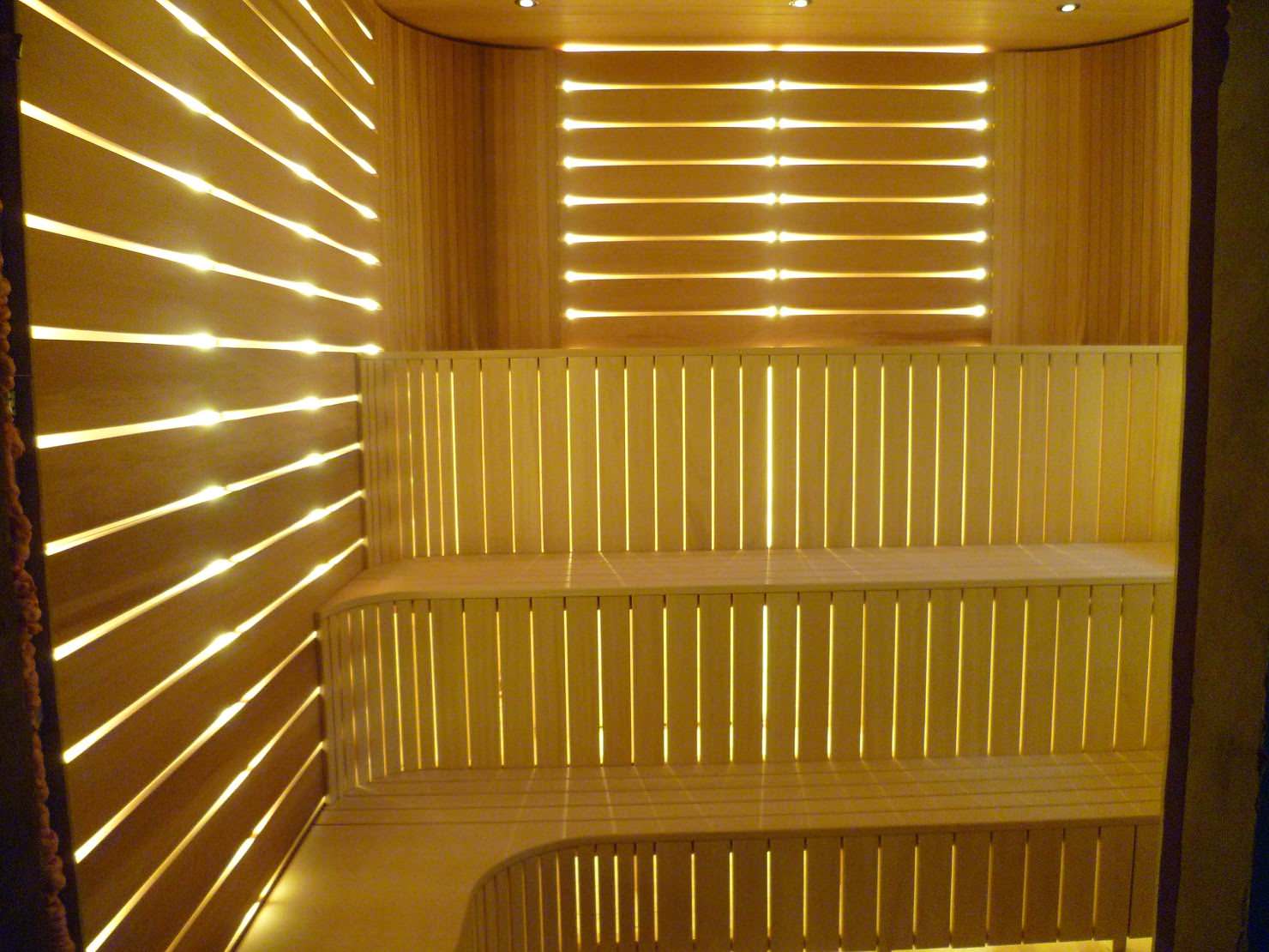 Обложка проекта: Жар Птица