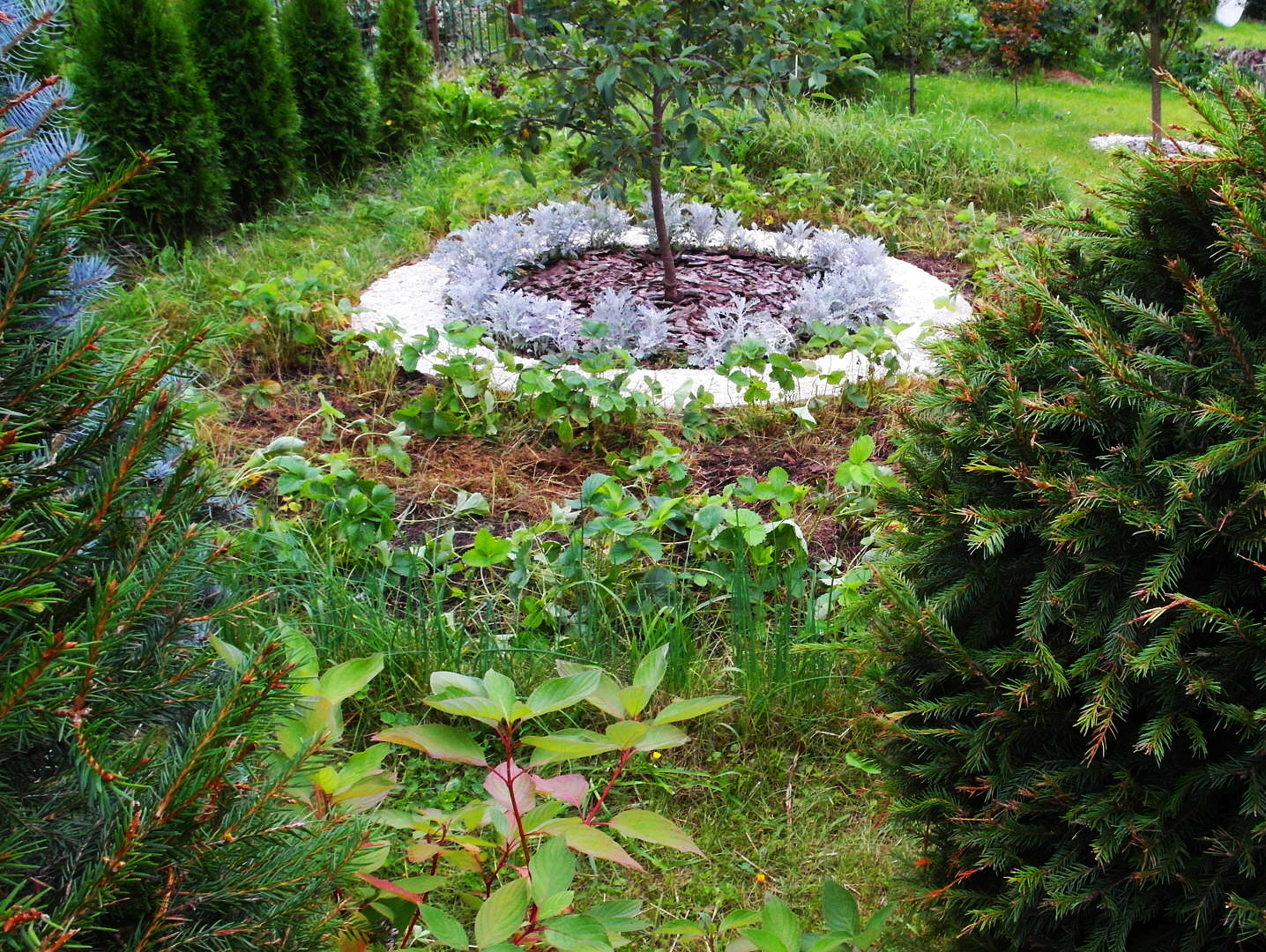 Личный опыт: Как дизайнер сделала из своего сада «сад отдыха»