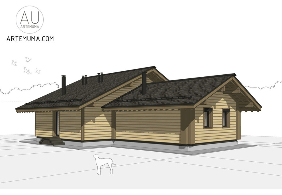 Реконструкция дома в Туле