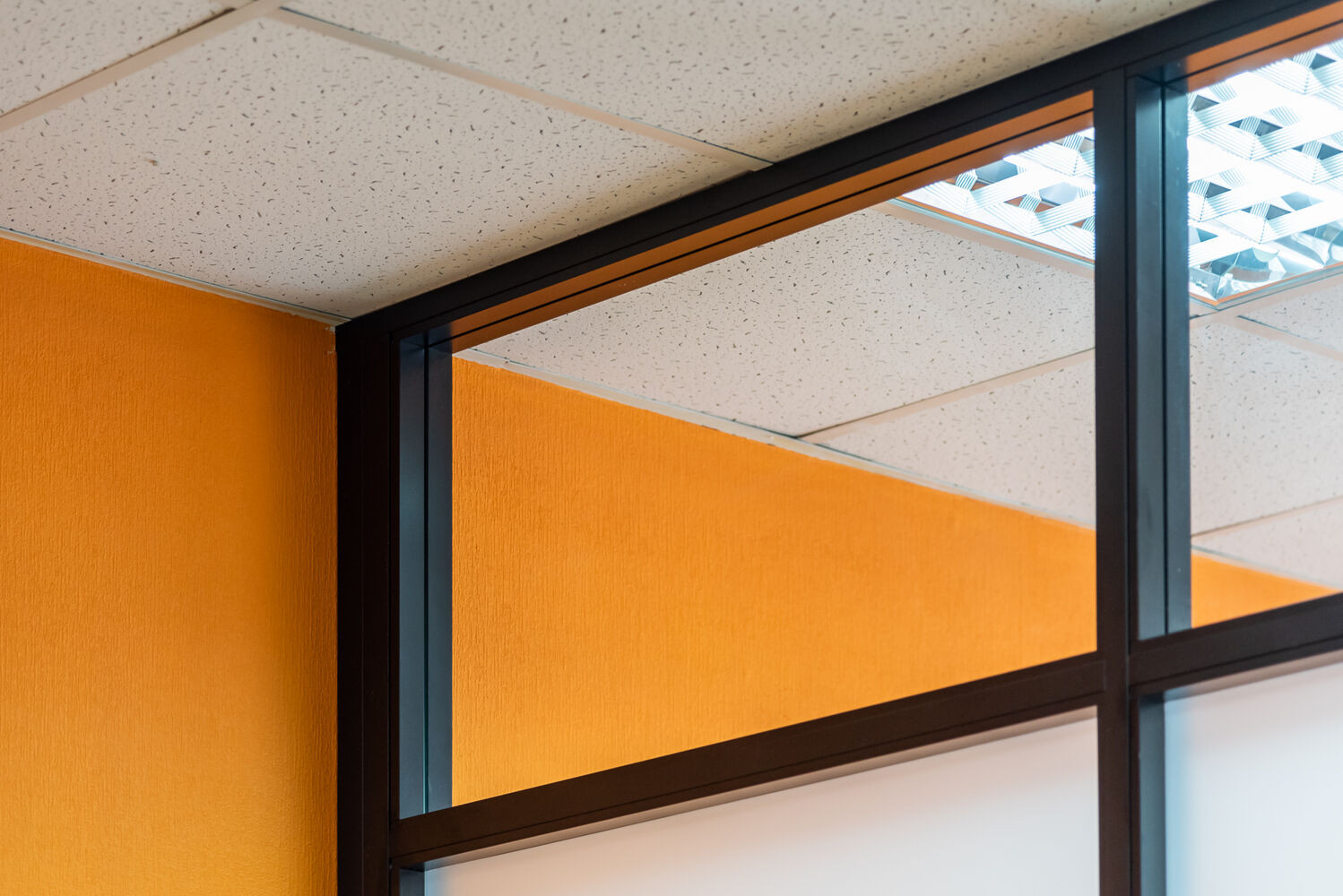 Обложка проекта: Перегородки NAYADA-Quadro в офисе юридической компании Кросби