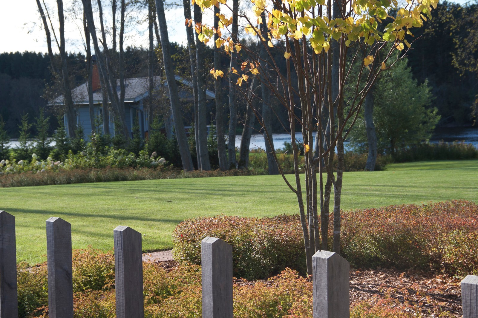 Большой дом на берегу реки