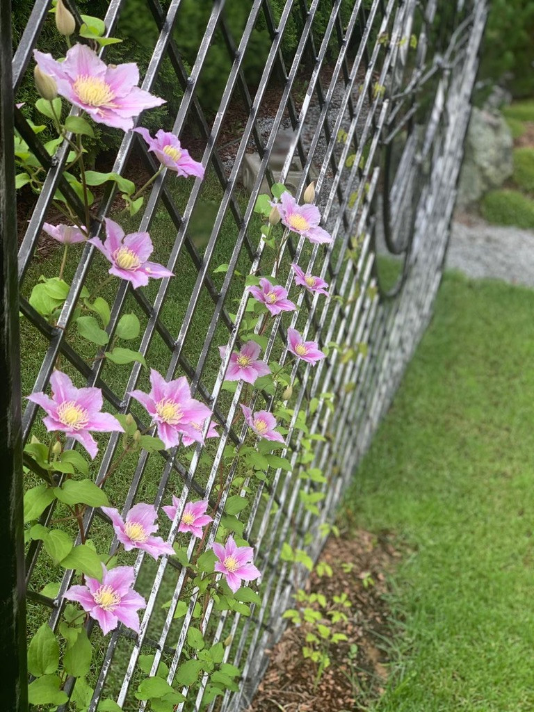 Элемент времени