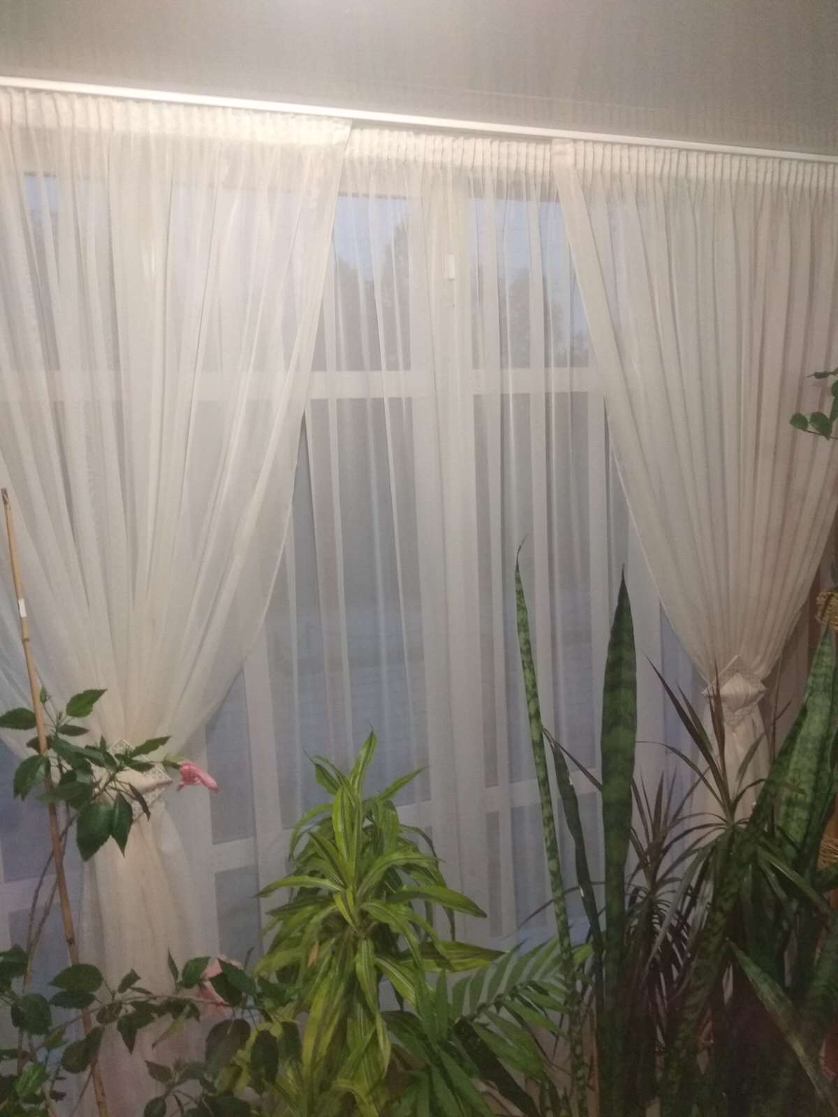 Наталья Фоменко