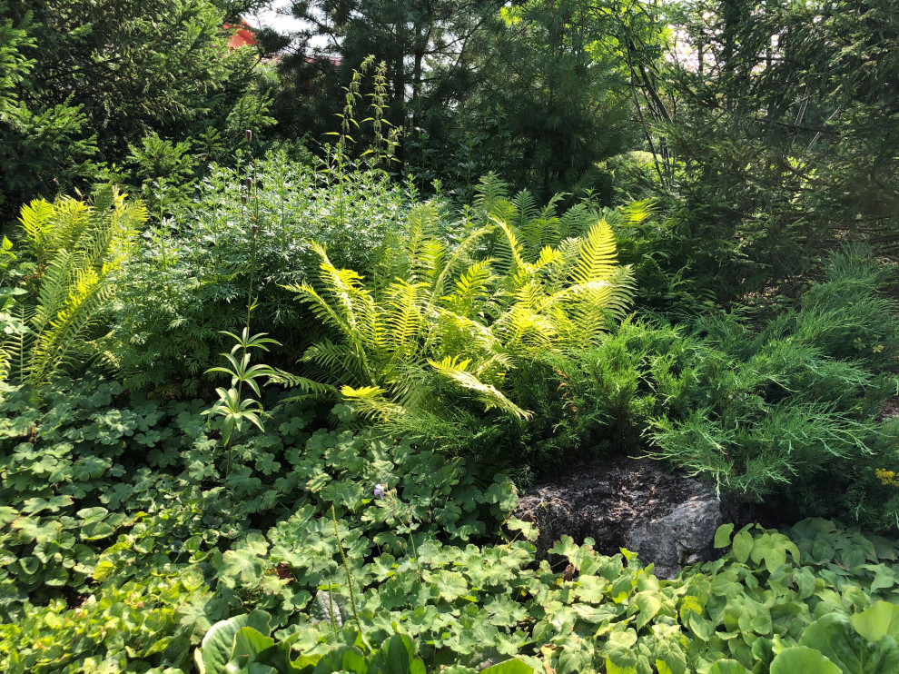 Счастливый сад