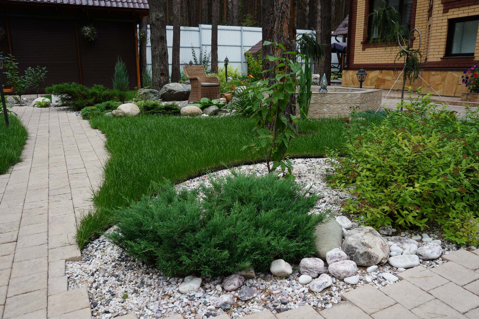 Обложка проекта: Умиротворение в сосновом лесу