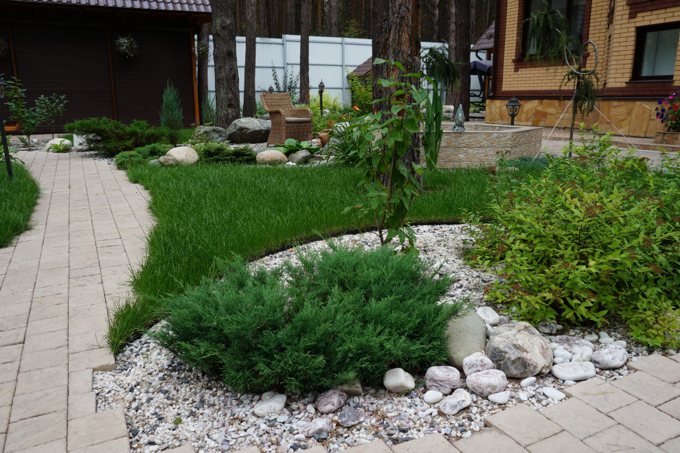 Обложка проекта: Умиротворение в сосновом лесу