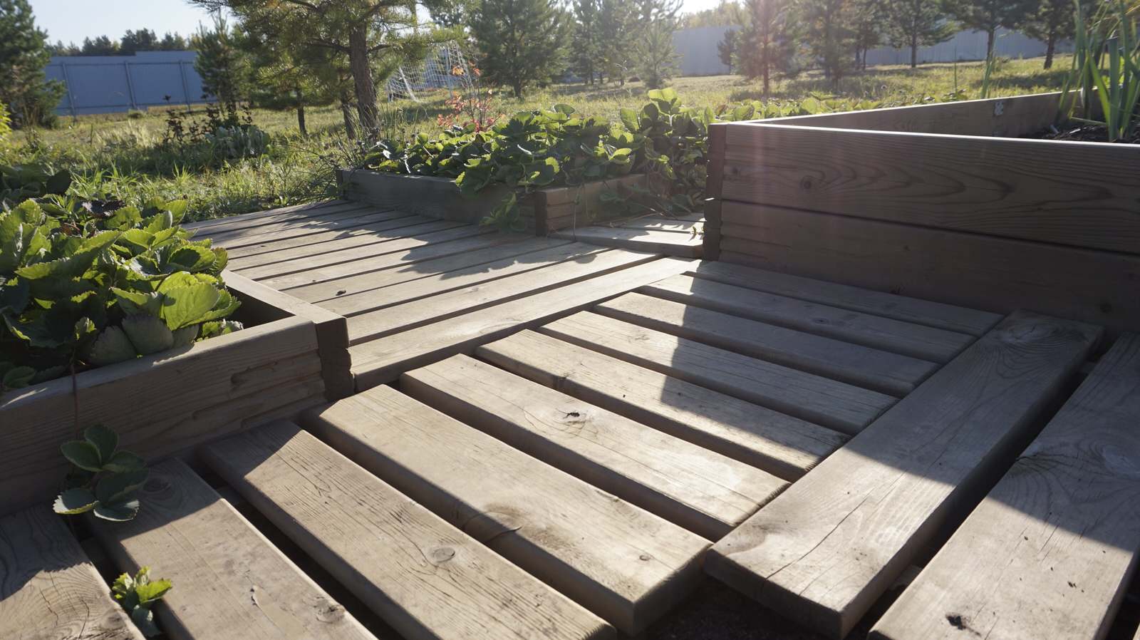 Обложка проекта: Дача в стиле potager