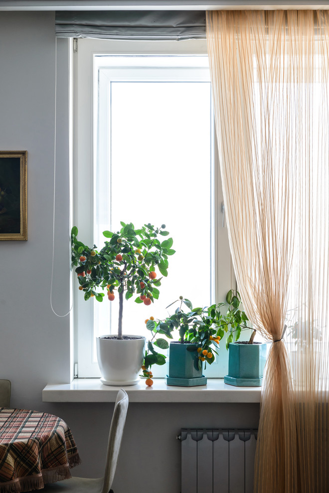 Озеленение квартиры