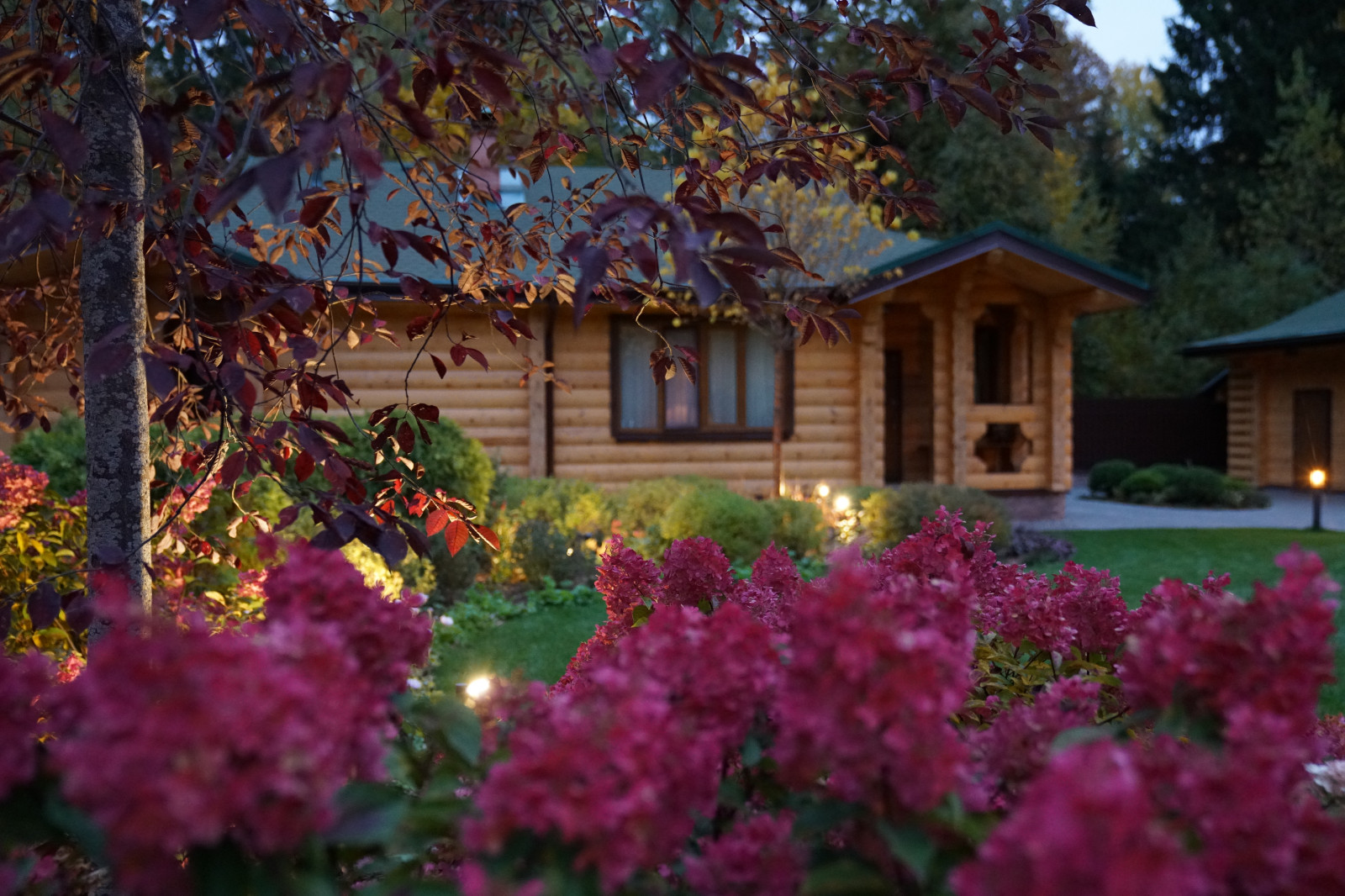 Круговорот  цвета. Дубровка 2021