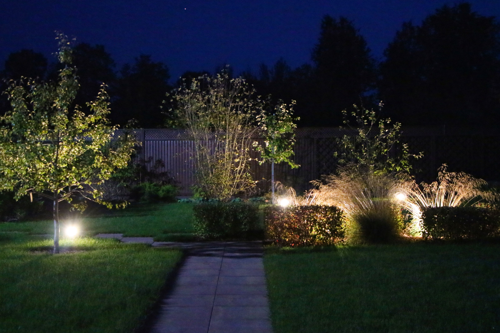 Петровское, ночной сад, 2018-2020 гг.