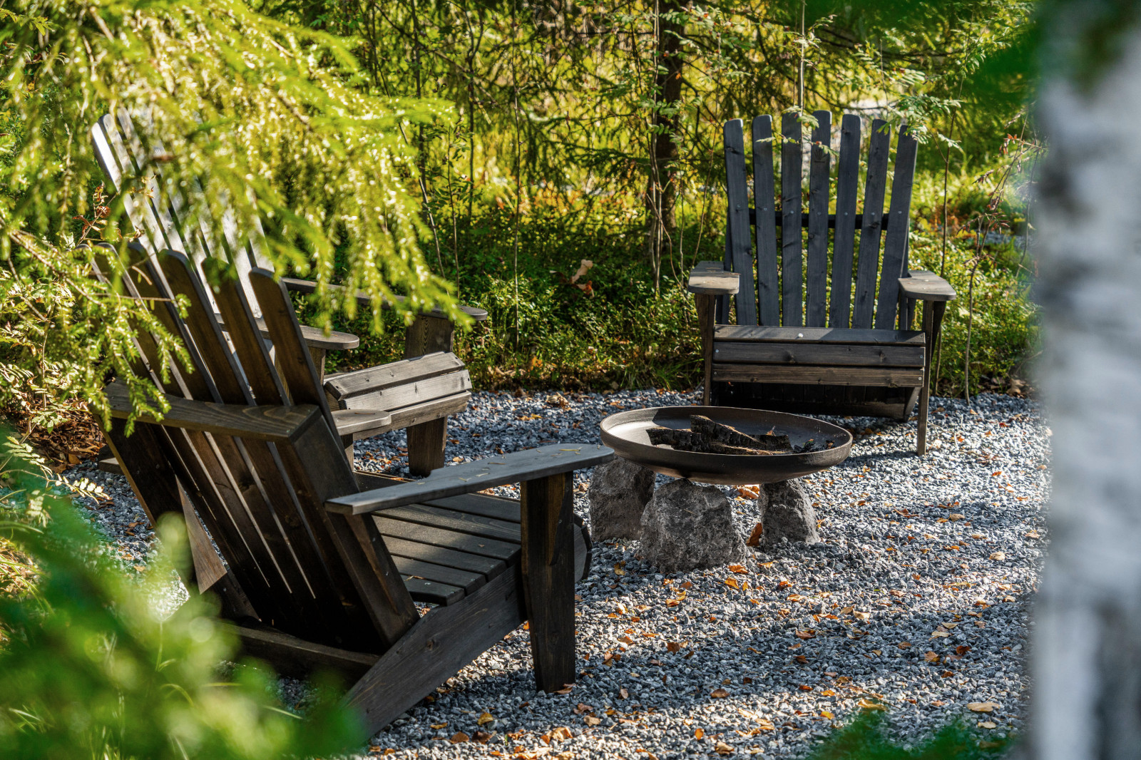 Репино парк