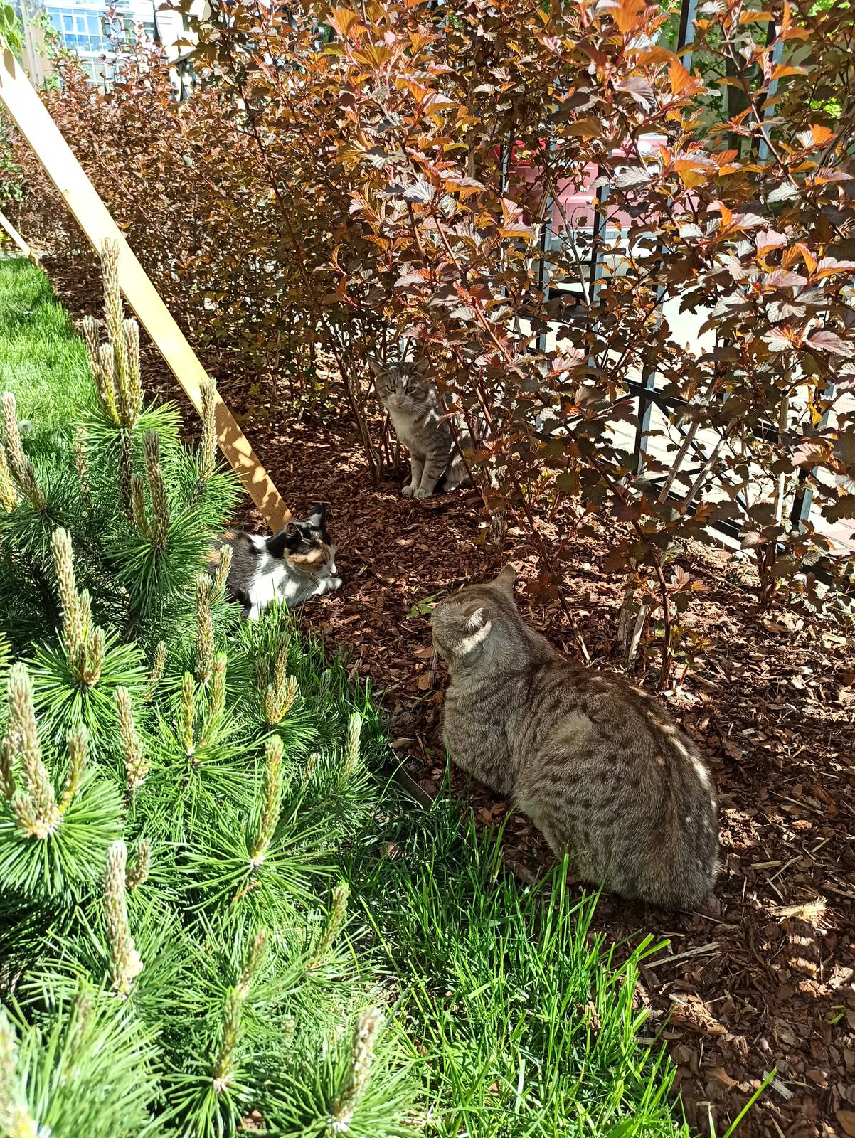 Озеленение бизнес-центра