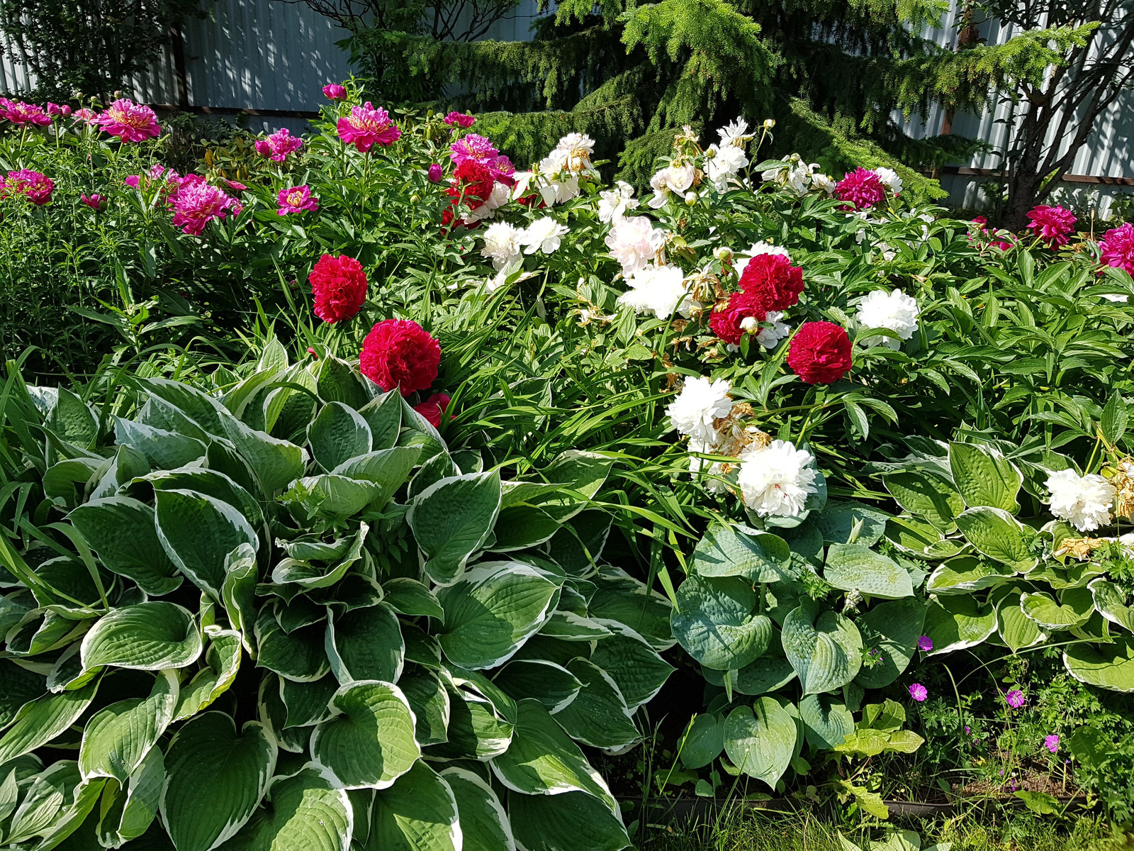 Косовка Калужское шоссе