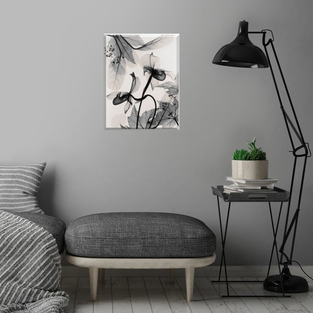 Обложка проекта: Рентген