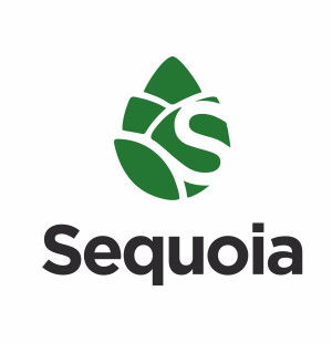 Никита Мочалкин