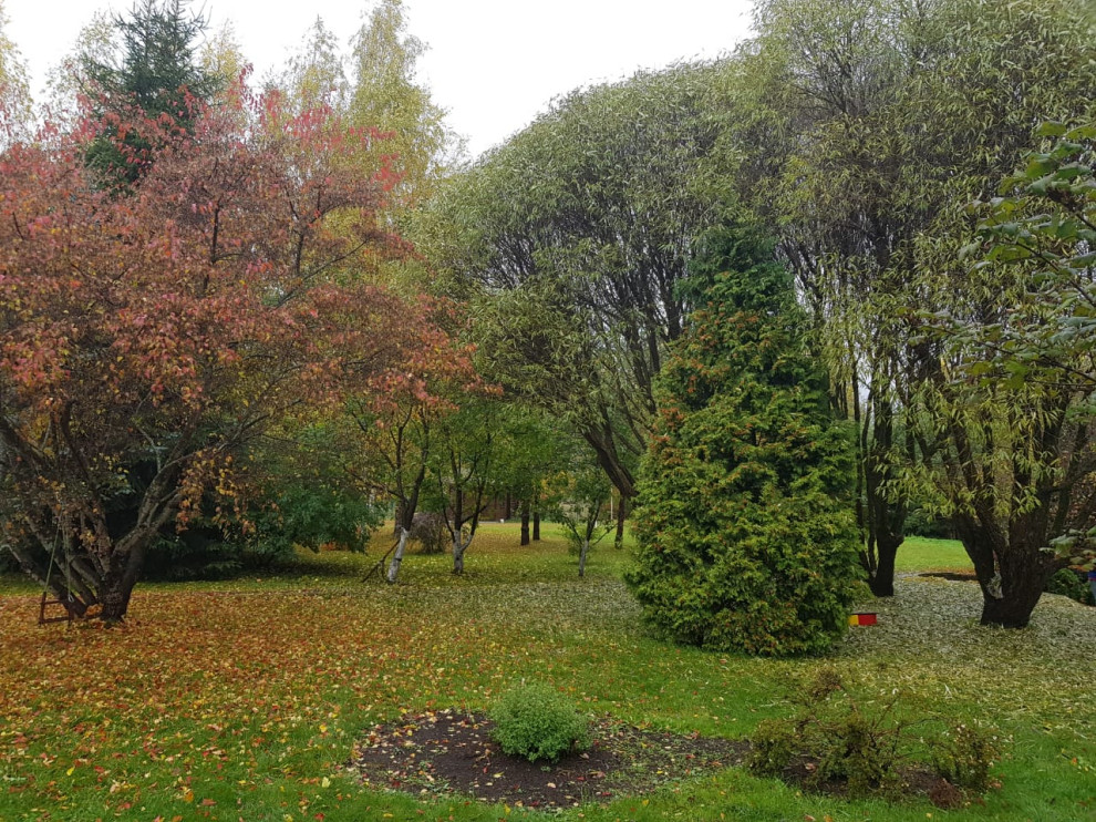 Сады по моим проектам.