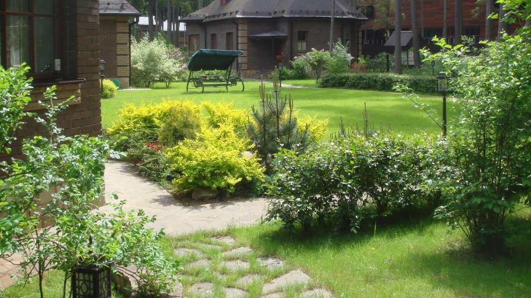 Рублево-Успенское шоссе. 52 сотки.