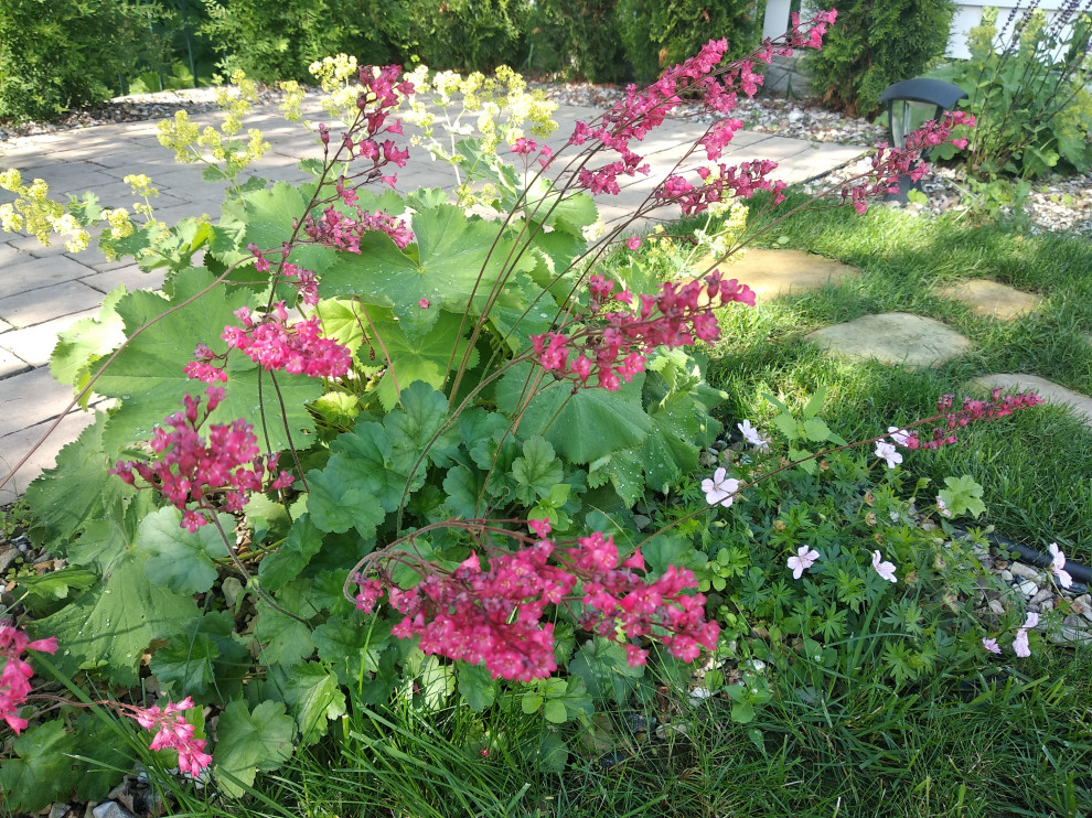 Английский садик