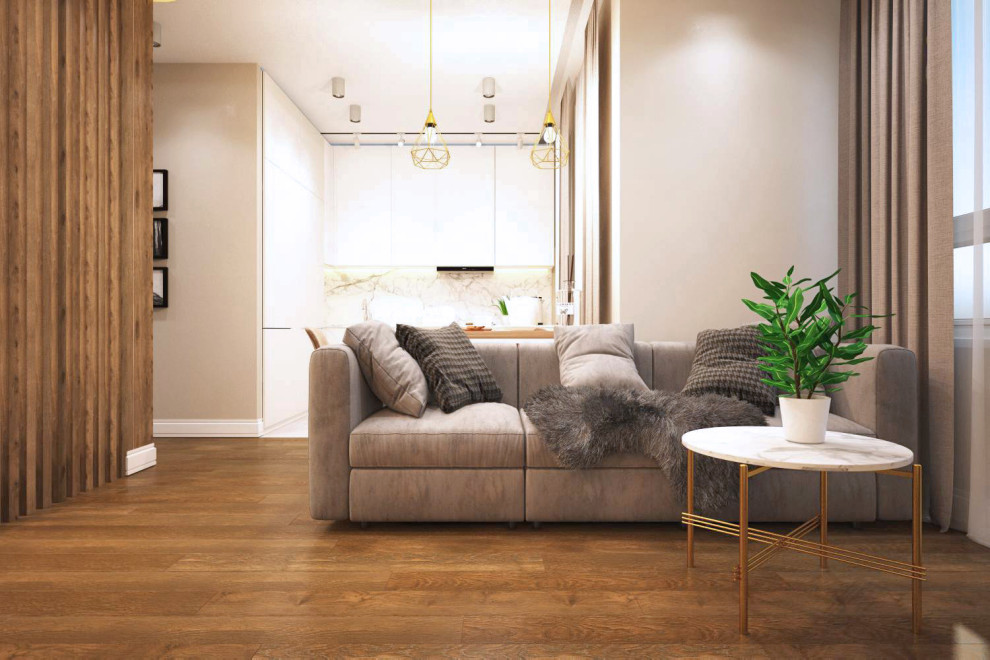 Однокомнатная квартира в современном стиле